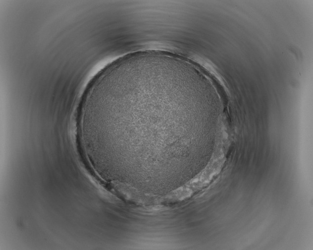 X0000113871024200910081722