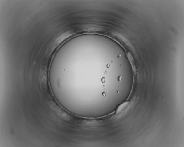 X0000113871025200910081722