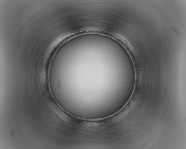 X0000113871027200910081722