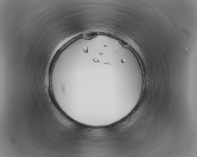 X0000113871028200910081722