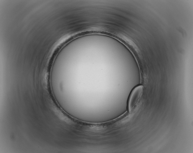 X0000113871029200910081722