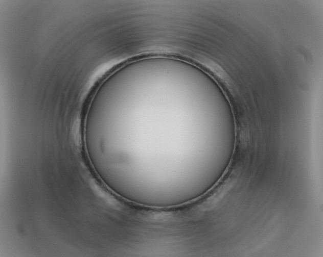 X0000113871030200910081722