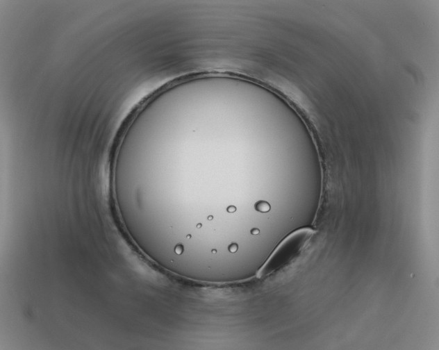 X0000113871032200910081722