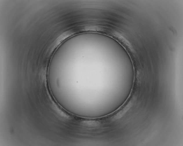 X0000113871033200910081722