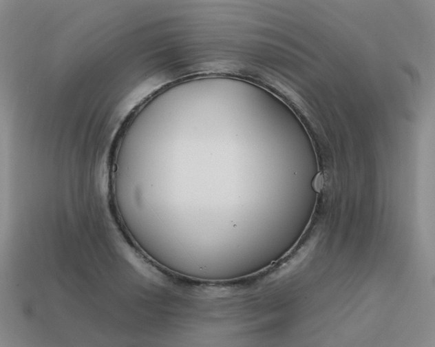 X0000113871034200910081722