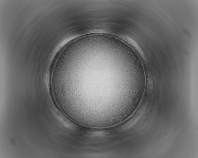 X0000113871035200910081722