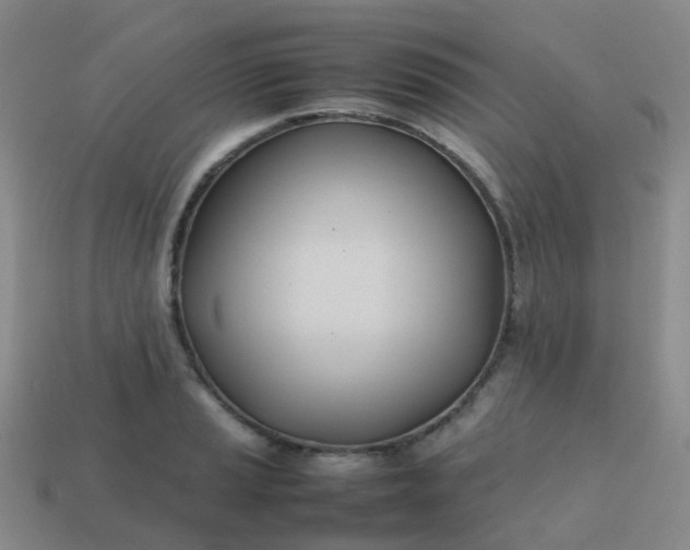 X0000113871037200910081723