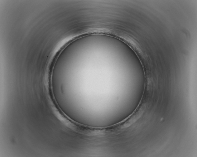 X0000113871038200910081723