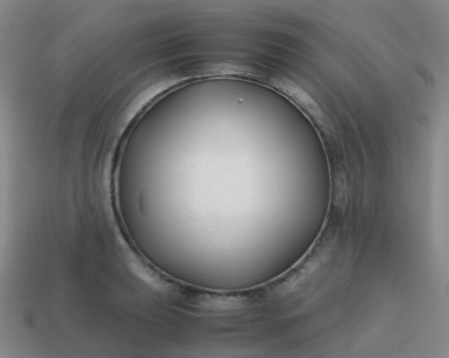 X0000113871039200910081723