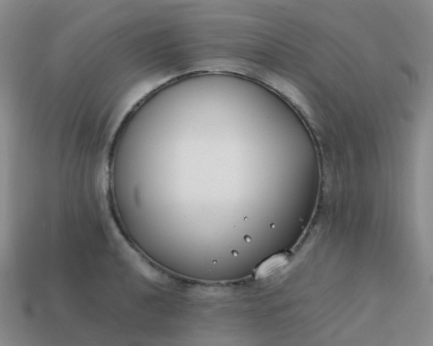 X0000113871040200910081723