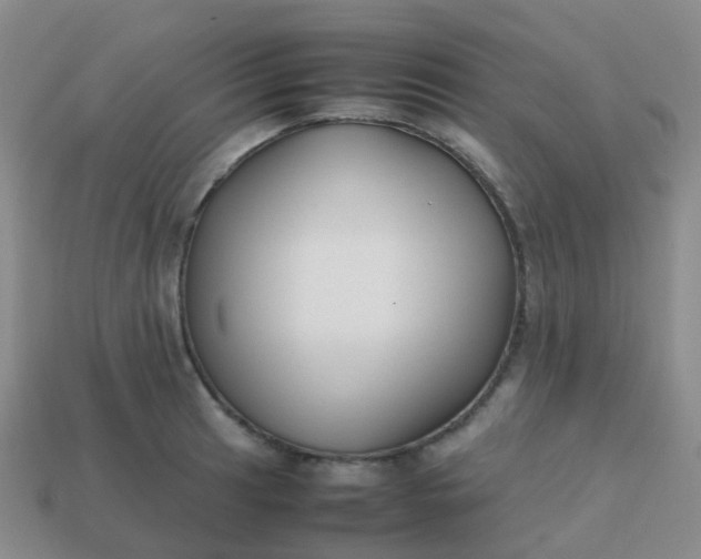 X0000113871041200910081723