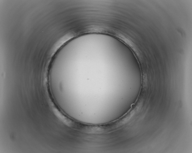 X0000113871042200910081723