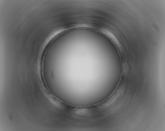 X0000113871043200910081723