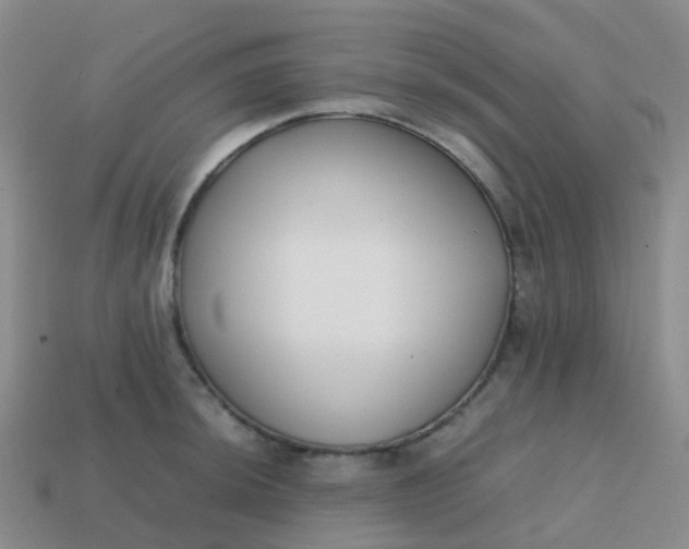 X0000113871044200910081723