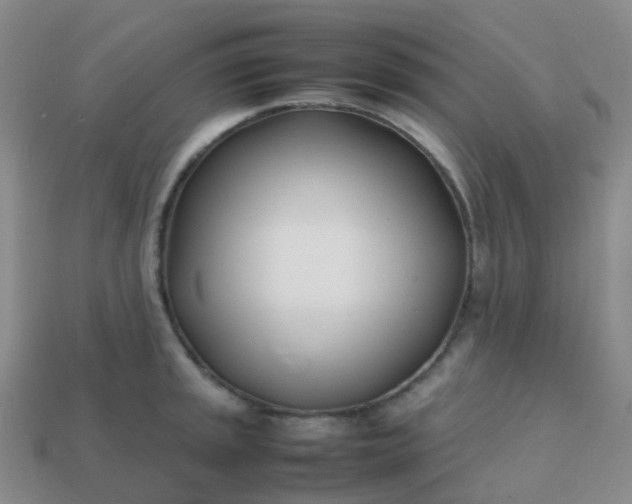 X0000113871045200910081723