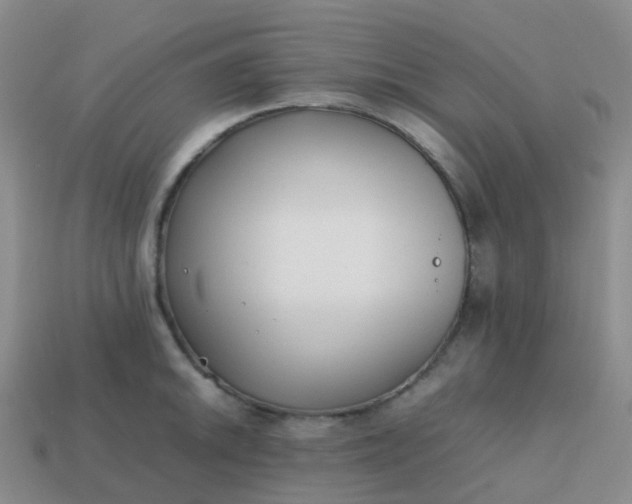 X0000113871046200910081723