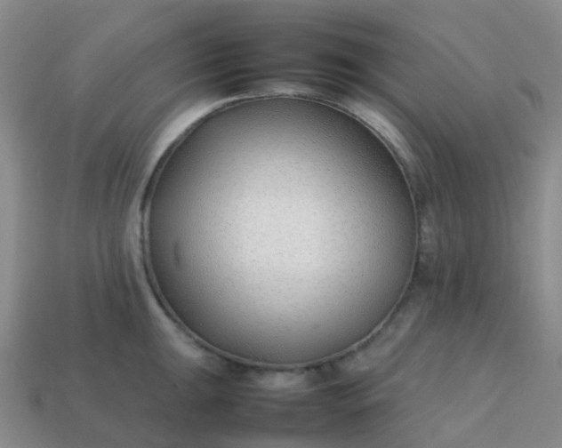 X0000113871047200910081723