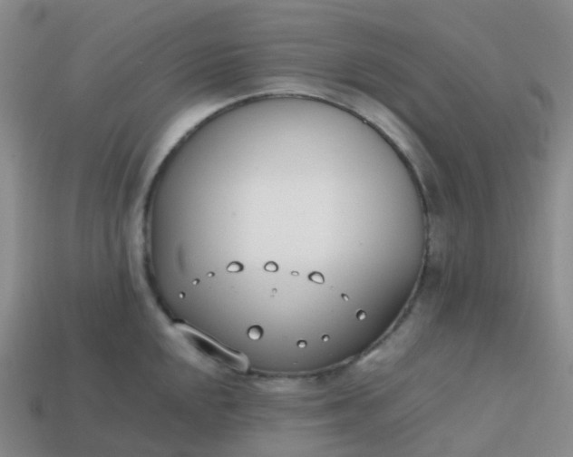 X0000113871048200910081723