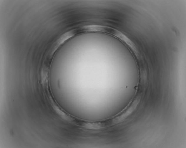 X0000113871049200910081723