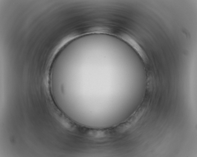 X0000113871051200910081723