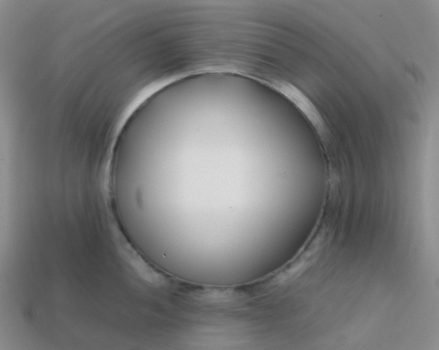 X0000113871052200910081723