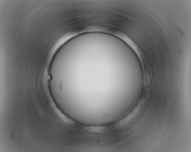 X0000113871053200910081723