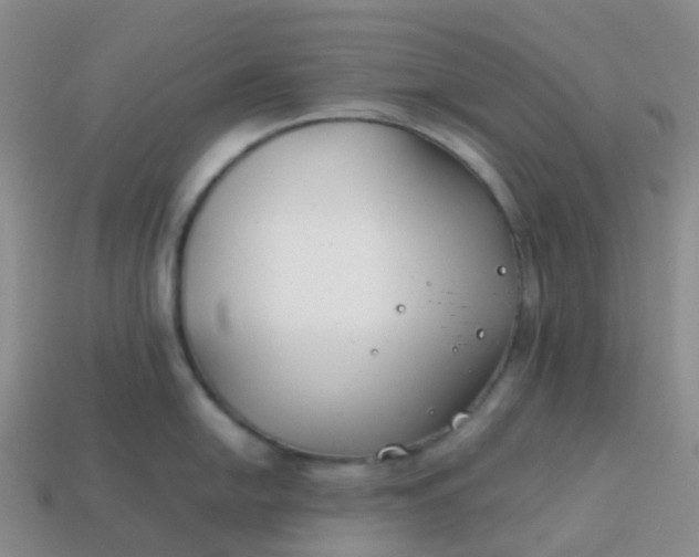 X0000113871054200910081723