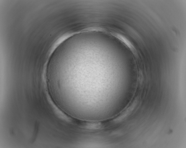 X0000113871055200910081723