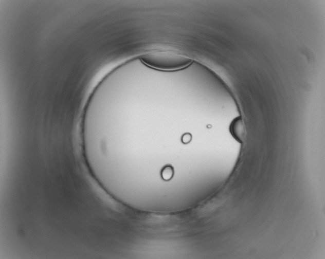 X0000113871056200910081723