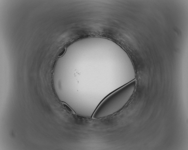 X0000113871057200910081722