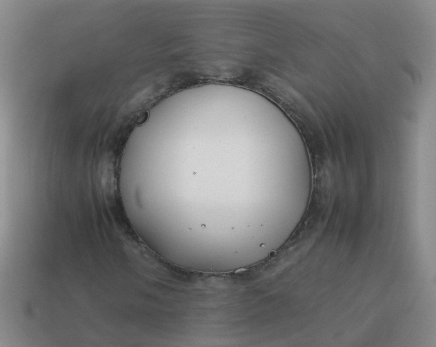 X0000113871058200910081722