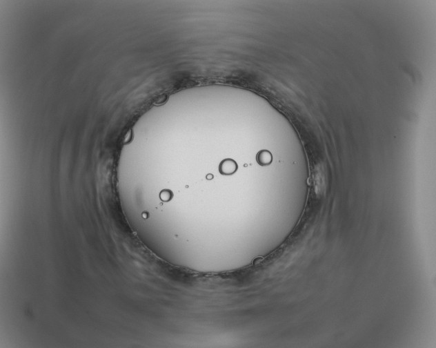 X0000113871059200910081722