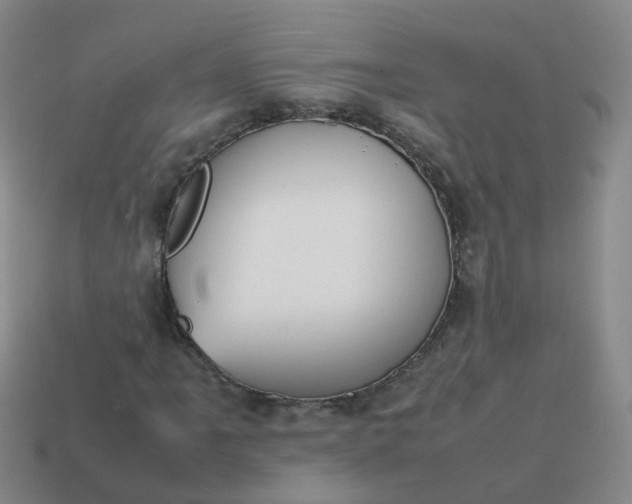 X0000113871061200910081722