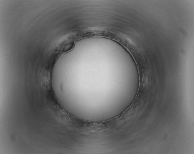 X0000113871062200910081722