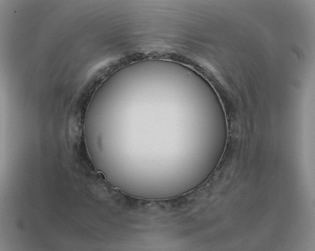 X0000113871063200910081722