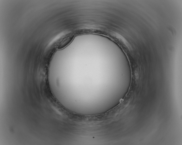 X0000113871064200910081722