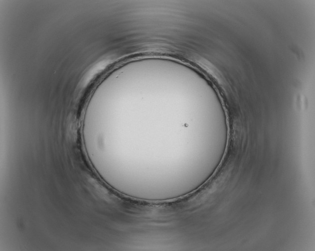 X0000113871067200910081722