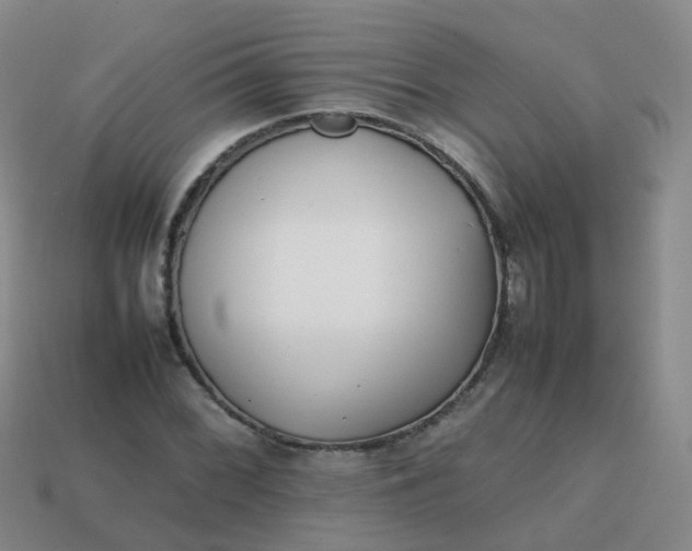 X0000113871068200910081722