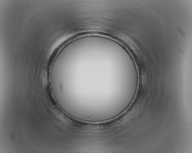 X0000113871069200910081722