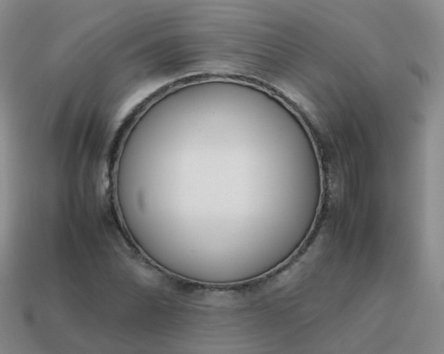 X0000113871070200910081722