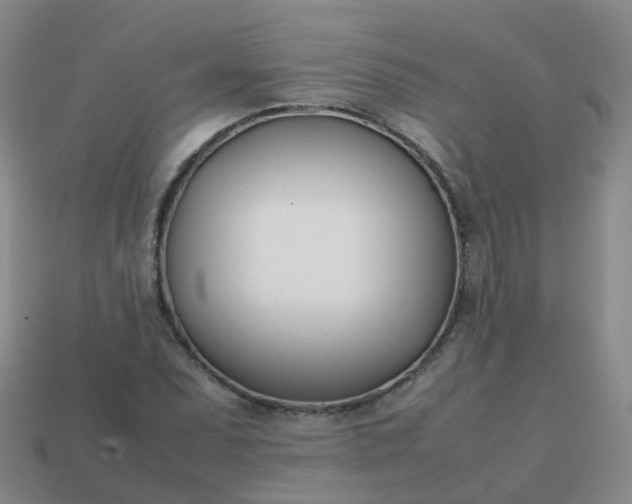 X0000113871071200910081722