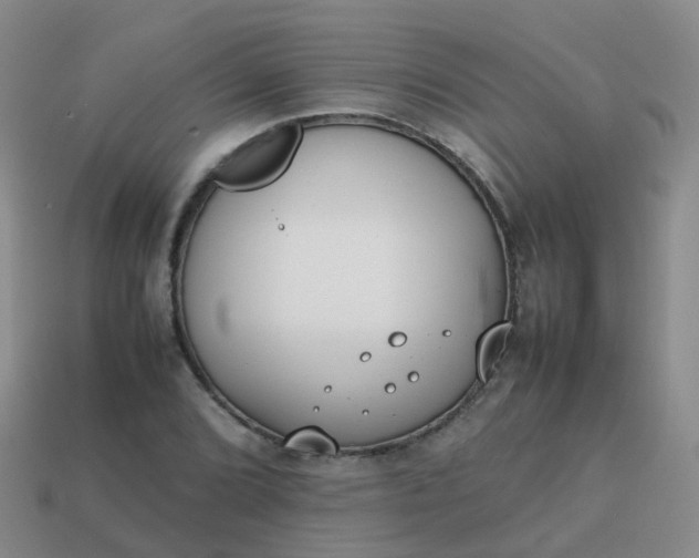 X0000113871072200910081722