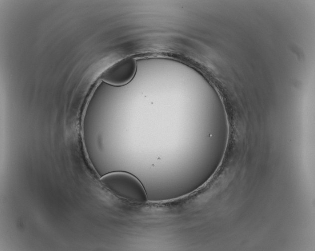 X0000113871073200910081722