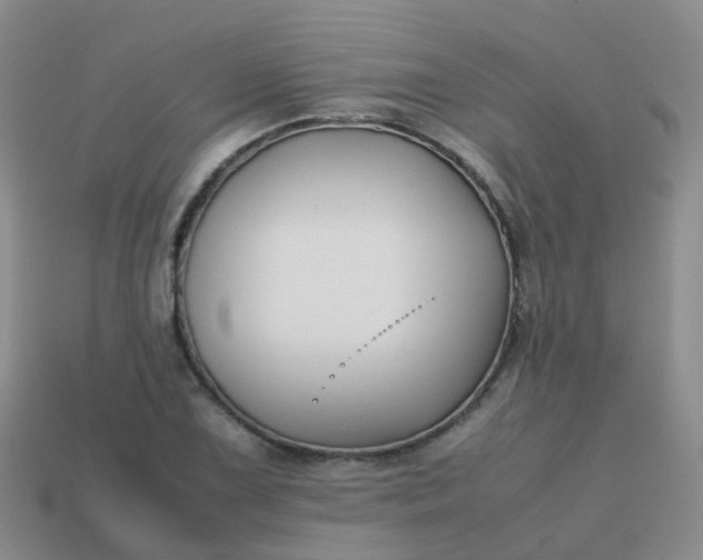 X0000113871075200910081722