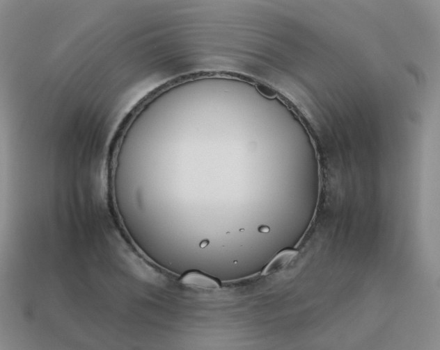 X0000113871076200910081722