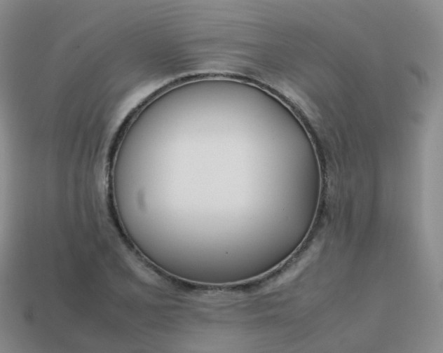 X0000113871077200910081722