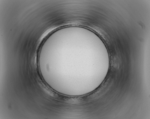 X0000113871078200910081722