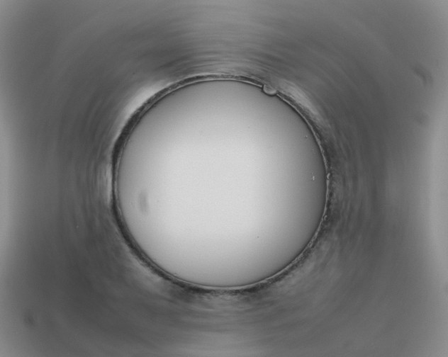 X0000113871079200910081722