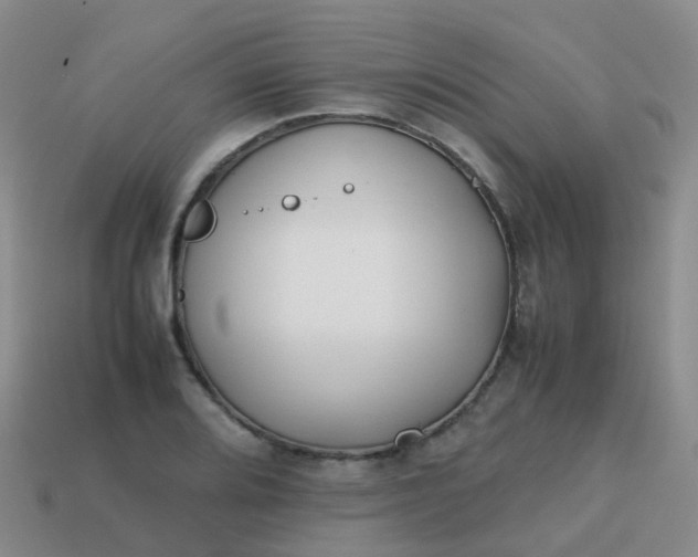 X0000113871080200910081722