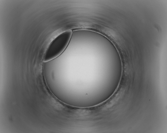 X0000113871081200910081722